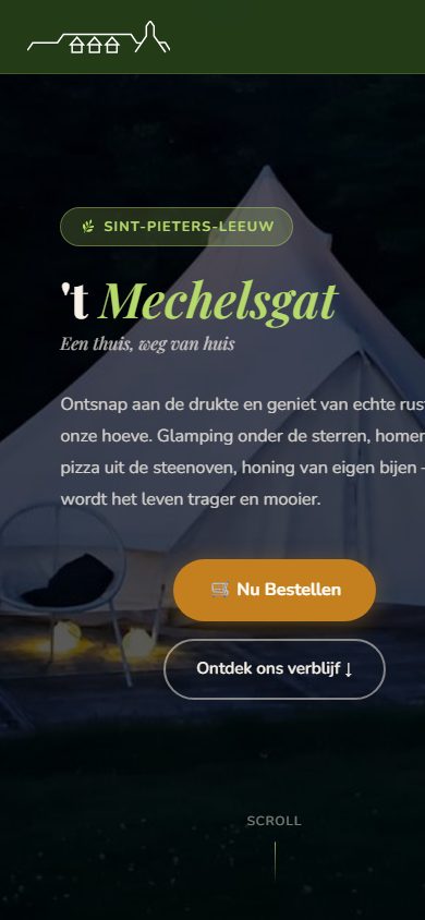 tmechelsgat.be op een smartphone